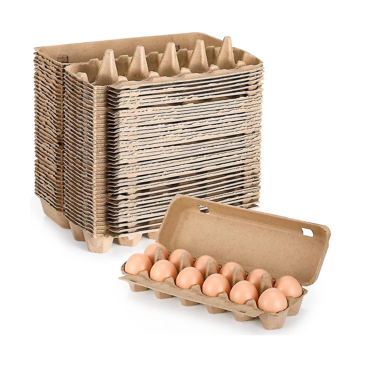 CARTON DE HUEVOS