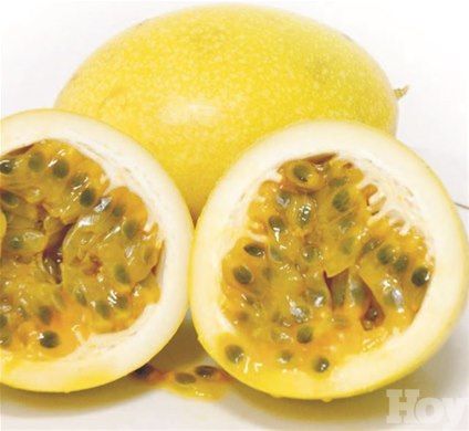 CHINOLA DIAMON NEGRA