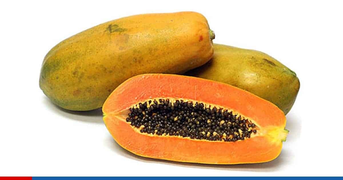 FRUTA BOMBA MORA VIDRIO330ML