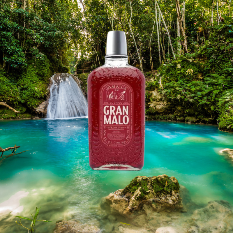 Gran malo Jamaica