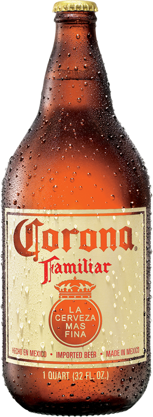 MODELO FAMILIAR CAGUAMA