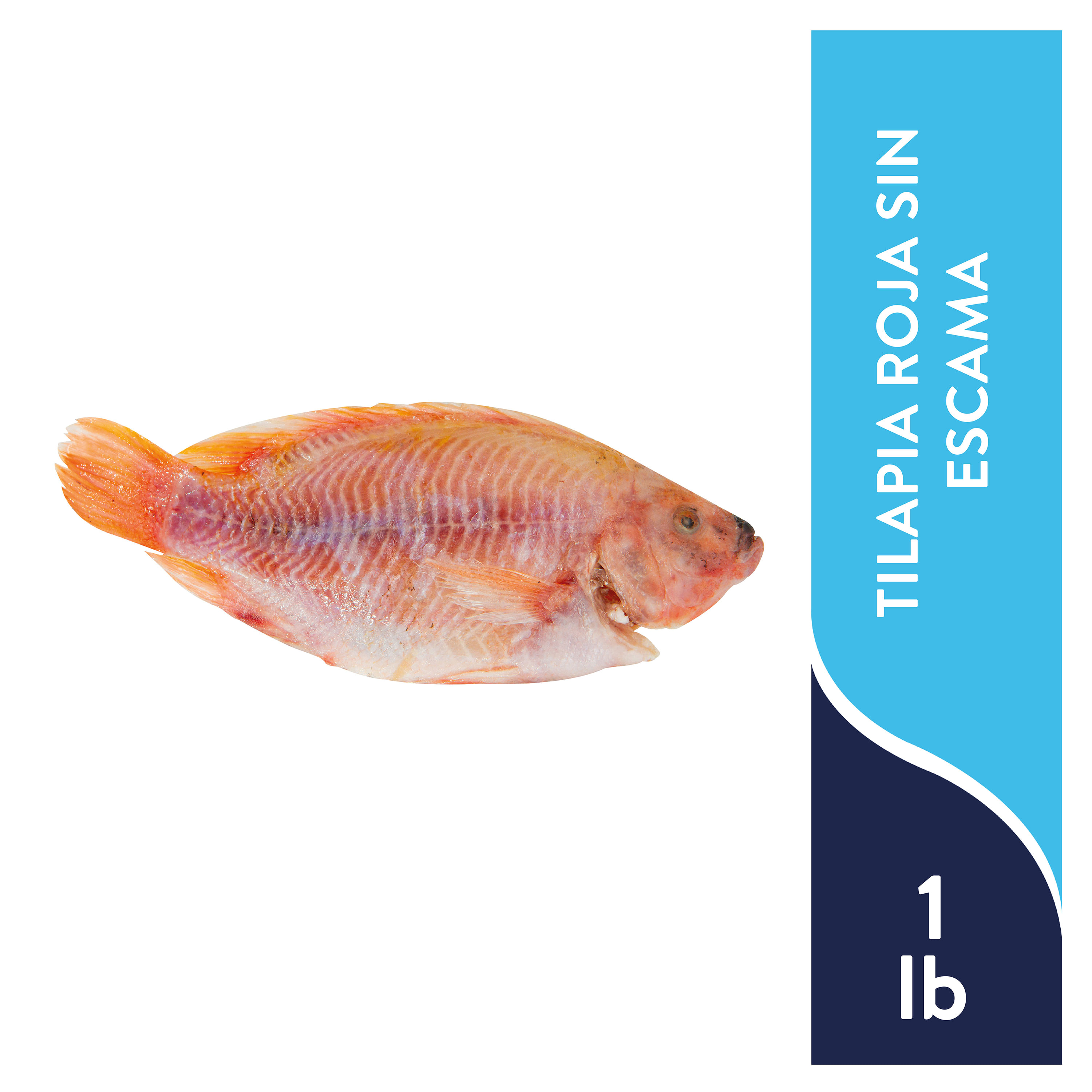 Pescado tilapia 1libra