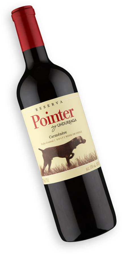 Pointer Carmenere 750ml
