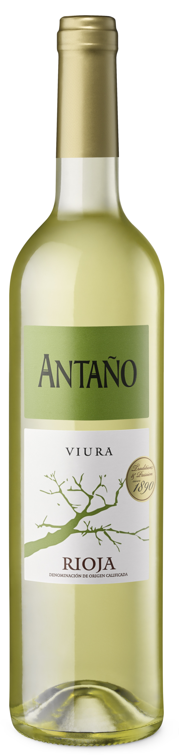 VINO RIOJA ANTAÑO BLANCO